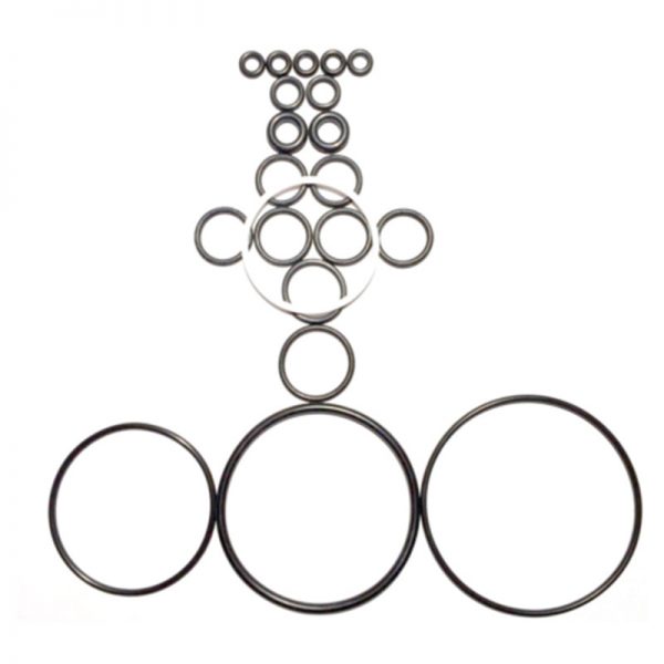 100 Complete O-ring Kits fit Graco Fusion AP Air Purge 246355-1