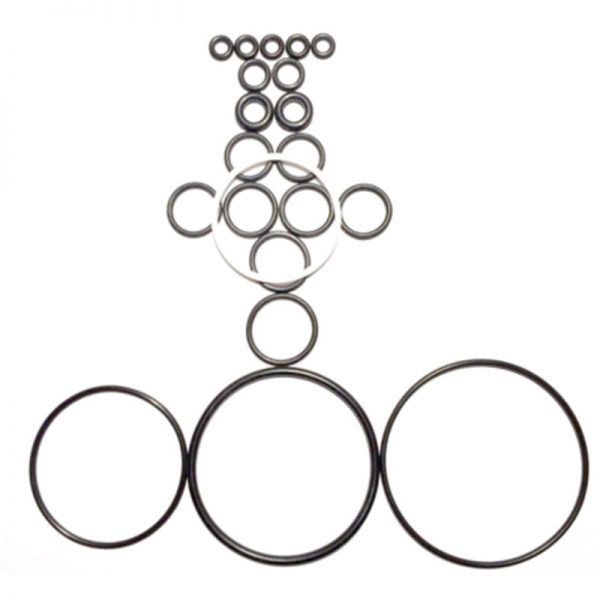 25 Complete O-ring Kits fit Graco Fusion AP Air Purge 246355-1